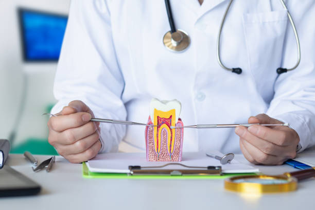Best Emergency Wisdom Tooth Extraction in West Fork, AR